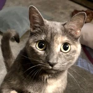 Meet your Posher, Kim